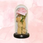 Γυάλα με αρκουδάκι και τριαντάφυλλο