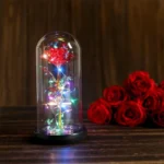 ΤΡΙΑΝΤΑΦΥΛΛΟ ΣΕ ΓΥΑΛΑ - Image 2