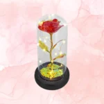 ΤΡΙΑΝΤΑΦΥΛΛΟ ΣΕ ΓΥΑΛΑ